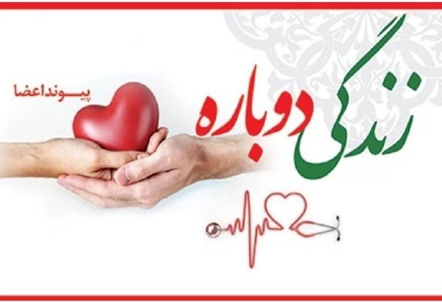 اهدا اعضا بیمار مرگ مغزی شده به بیماران نیازمند جانی دوباره بخشید