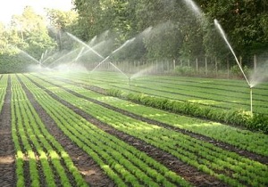 اجرای سیستم آبیاری تحت فشار در ۷۶ هکتار از زمین‌های کشاورزی