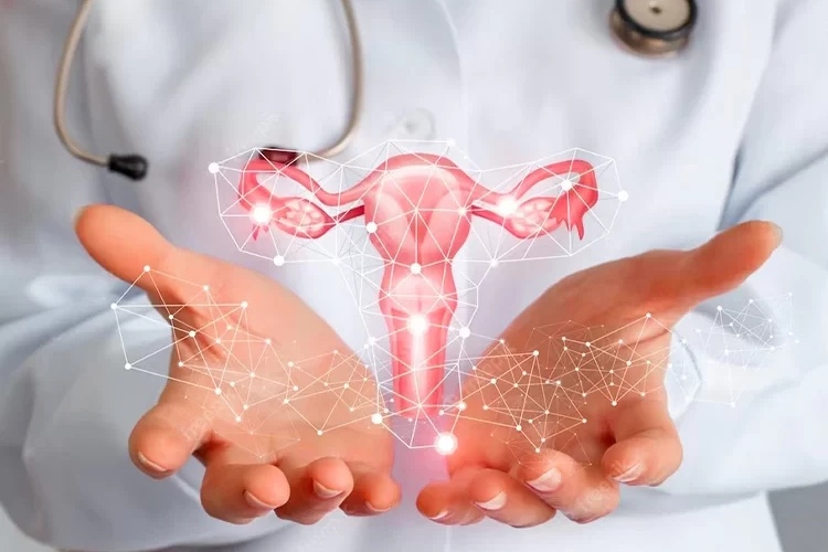 آیا رژیم غذایی مناسب می‌تواند به درمان اندومتریوز کمک کند؟/۵ توصیه غذایی برای کمک به اندومتریوز