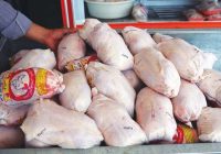 توزیع گوشت مرغ منجمد تنظیم بازار در کرمانشاه