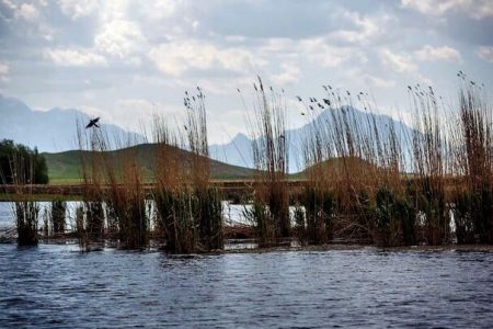 “هشیلان” جان گرفت