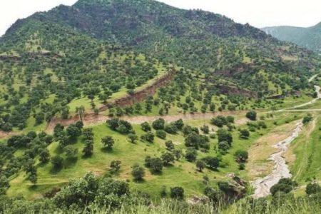 جنگل های زاگرس نقش مهمی در معیشت و امنیت زیستی کشور دارد/استان کرمانشاه ۵۲۷ هزار هکتار جنگل دارند