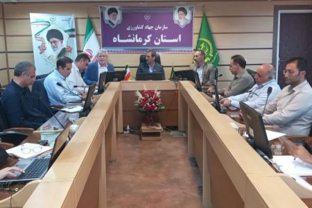 امسال ۲۶۹هزار تن چغندرقند پاییزه در استان کرمانشاه تولید شد