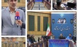 درخواست مدیر عامل شرکت توزیع نیروی برق استان کرمانشاه از مشترکان برای کاهش مصرف برق