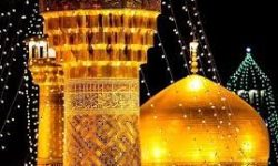 امام رضا (ع) و جهاد تببین