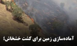 آتش‌سوزی عمدی با اهداف خاص؛ معضل جدید جنگل‌های کرمانشاه
