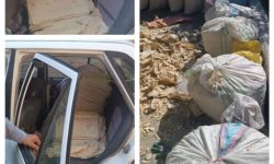بازدید کارشناسان جهاد کشاورزی شهرستان کرمانشاه از محل نگهداری وخشک کردن نان