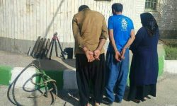 دستگیری ومتلاشی شدن باند سرقت کابل و سیم برق بخش «بیستون»