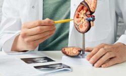 برای درمان سنگ کلیه چه بخوریم؟