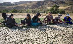 آش ترخینه؛ در فصل سرما بدنتان را گرم نگه‌می‌دارد