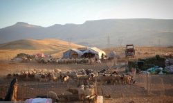 کوچ پاییزه در کرمانشاه از آبان‌ماه آغاز می‌شود