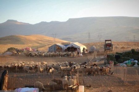 کوچ پاییزه در کرمانشاه از آبان‌ماه آغاز می‌شود