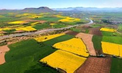 استقبال از سند‌دار شدن‌ زمین‌های کشاورزی در کرمانشاه