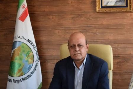 احیا جنگل‌های کرمانشاه در دستور کار قرار گرفت