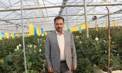 گلخانه دار کرمانشاهی نمونه کشوری شد