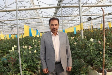 گلخانه دار کرمانشاهی نمونه کشوری شد