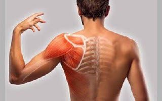 فعالیت‌های سنگین بدنی شایع‌ترین علت گرفتگی عضلانی است