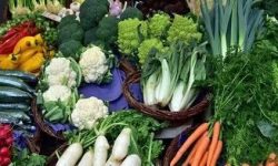 آیا مصرف سبزیجات باعث ایجاد زخم معده میشود؟ پاسخ: خیر