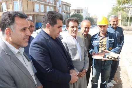 اصلاح و تقویت شبکه فشار متوسط برق شهر تازه‌آباد به مناسبت هفته دولت