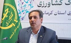 تولید بیش از ۴۱ هزار تن بذر اصلاحشده گندم کرمانشاه