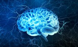 کلید طلایی سلامت مغز