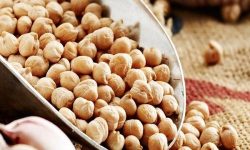 طلای دیم‌زارهای کرمانشاه در جیب دلالان برشته می‌شود