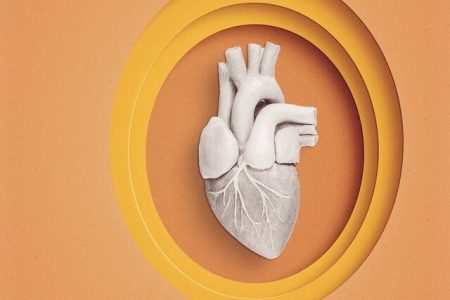 ارتباط مصرف بادام با بهبود سلامت قلب