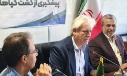 ضرورت تداوم مبارزه با کشت گیاهان ممنوعه در کرمانشاه