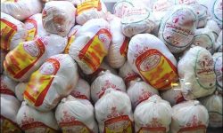 عرضه گوشت و مرغ منجمد تنظیم بازار در نمایشگاه پاییزه کرمانشاه