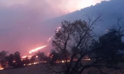 ۵۰ هکتار از مراتع و جنگلهای گیلانغرب در آتش سوخت