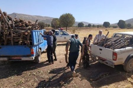 کشف بیش از ۲۰ تن چوب جنگلی در کرمانشاه