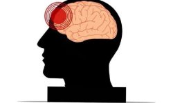 آسیبهای تروماتیک مغزی در افراد مسن با افزایش خطر زوال عقل مرتبط است