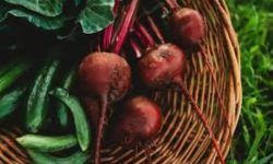 بمب سلامتی پاییزی را بشناسید