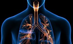 ۵ تمرین برای تقویت ریه