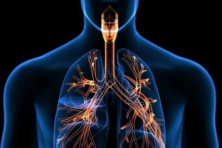 ۵ تمرین برای تقویت ریه