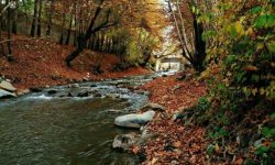 مقصد پرطرفدار تهرانی ها برای تفریح آخر هفته کجاست؟