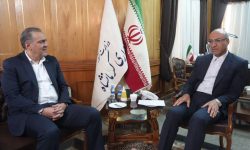 استان کرمانشاه میتواند به قطب تولید انرژی خورشیدی در غرب کشور تبدیل شود/تمرکز بر صنایع کوچک و انرژیهای پاک، مسیر جهش تولید و اشتغال در استان است