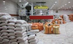 کشف برنج بیکیفیت دربسته بندی برندهای معروف