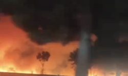 آتشسوزی مزارع کشاورزی دانشگاه صنعتی کرمانشاه مهار شد