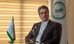 باز شدن گمرکات بر روی صادرات نخود/ امیدواری برای شکستن رکورد صادرات