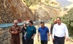 از نمایندگی فروش و خدمات ایران‌خودرو تا ظرفیت هزار تنی ماهی؛ روایت حمایت بانک توسعه تعاون از تولید در کرمانشاه