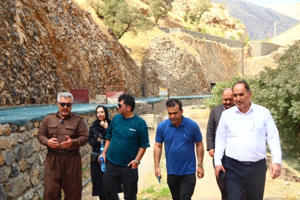 از نمایندگی فروش و خدمات ایران‌خودرو تا ظرفیت هزار تنی ماهی؛ روایت حمایت بانک توسعه تعاون از تولید در کرمانشاه